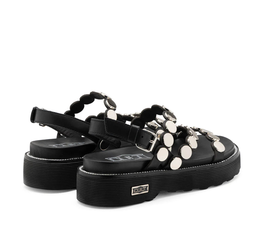 Cult - 4770 - Ziggy