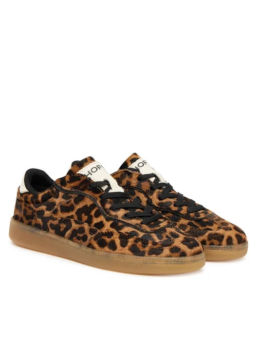 Hoff - Alley leopard